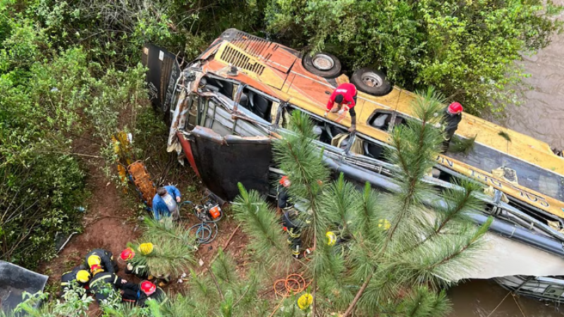 Tragedia en Misiones: cayó un micro, hay 8 muertos y 29 heridos